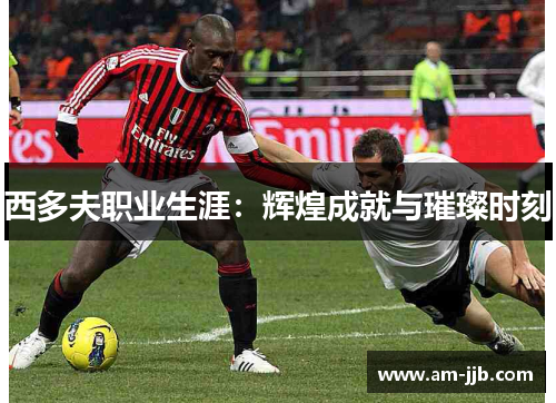 西多夫职业生涯:辉煌成就与璀璨时刻 西多夫职业生涯:辉煌成就与璀璨时刻