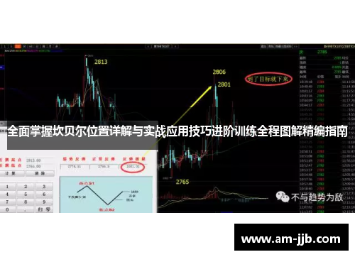 全面掌握坎贝尔位置详解与实战应用技巧进阶训练全程图解精编指南 全面掌握坎贝尔位置详解与实战应用技巧进阶训练全程图解精编指南
