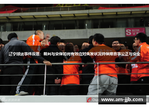 辽宁球迷事件反思：裁判与安保如何有效应对突发状况并保障赛事公正与安全