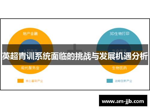 英超青训系统面临的挑战与发展机遇分析