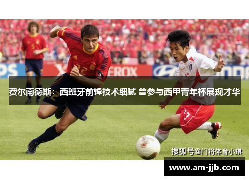 费尔南德斯：西班牙前锋技术细腻 曾参与西甲青年杯展现才华