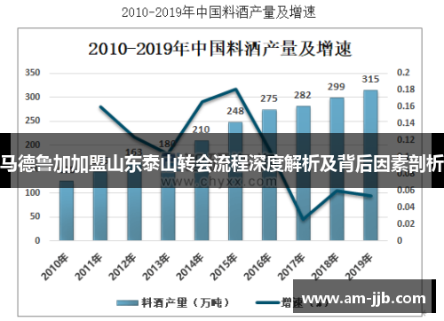 马德鲁加加盟山东泰山转会流程深度解析及背后因素剖析