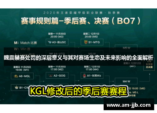 魏震禁赛处罚的深层意义与其对赛场生态及未来影响的全面解析